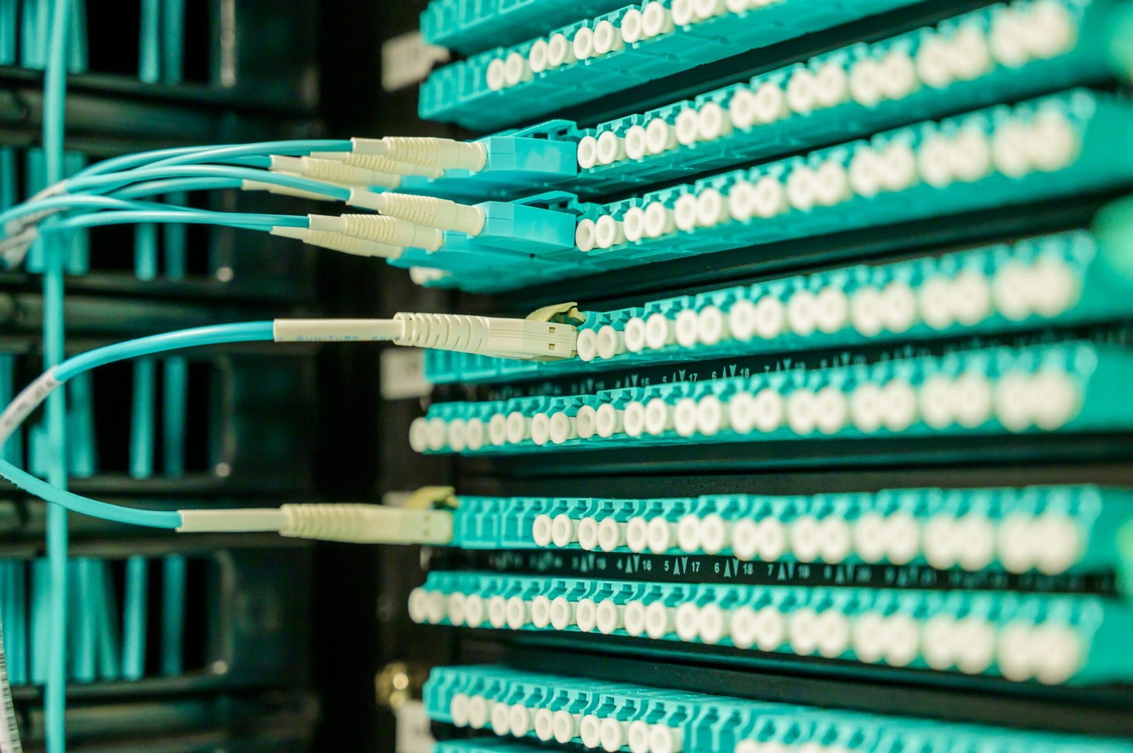 Home Networking cables plugged into a patch panel, showcasing data center connectivity.